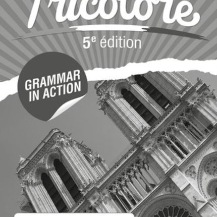 Tricolore Grammar in Action 4 8 Pack