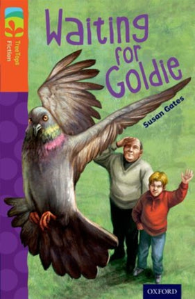 Oxford Reading Tree TreeTops Fiction: Level 13: Waiting for Goldie