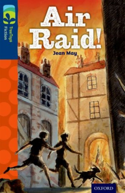 Oxford Reading Tree TreeTops Fiction Level 14 More Pack A Air Raid