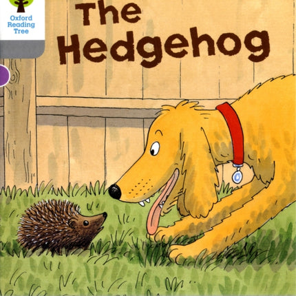 Oxford Reading Tree: Level 1: Wordless Stories B: Hedgehog