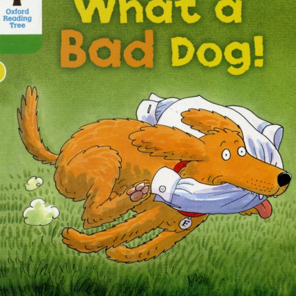 Oxford Reading Tree: Level 2: Stories: What a Bad Dog!