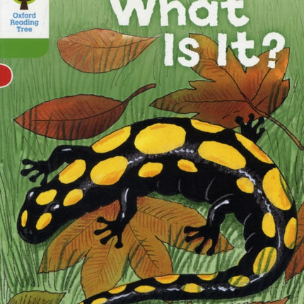 Oxford Reading Tree: Level 2: More Patterned Stories A: What Is It?