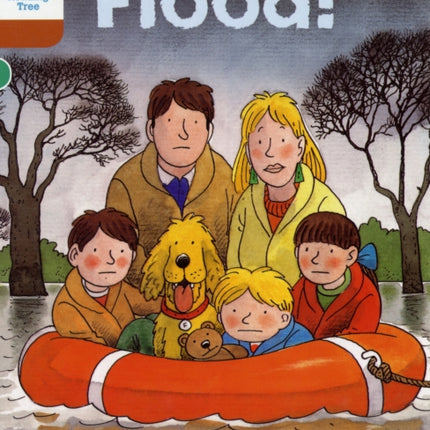 Oxford Reading Tree: Level 8: More Stories: Flood!