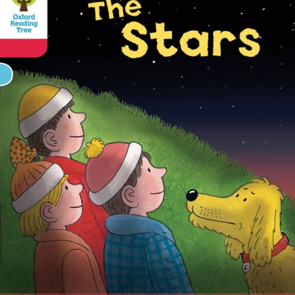 Oxford Reading Tree: Level 4: Decode and Develop Stars