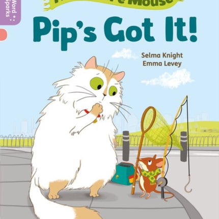 Oxford Reading Tree Word Sparks: Level 1+: Pip's Got It!