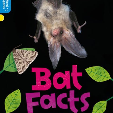 Oxford Reading Tree Word Sparks: Level 3: Bat Facts