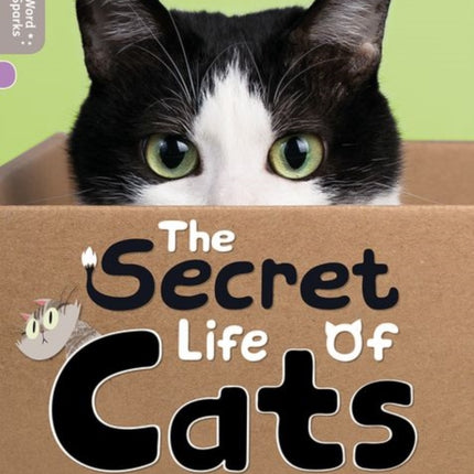 Oxford Reading Tree Word Sparks: Level 1: The Secret Life of Cats