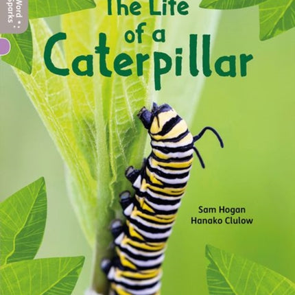 Oxford Reading Tree Word Sparks: Level 1: The Life of a Caterpillar