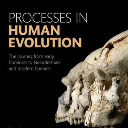 Processes in Human Evolution: The journey from early hominins to Neanderthals and modern humans