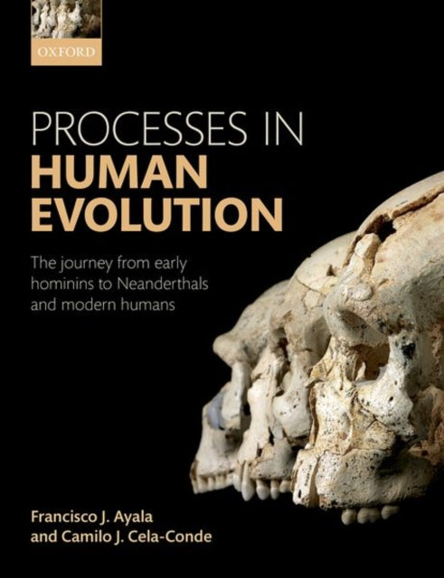 Processes in Human Evolution: The journey from early hominins to Neanderthals and modern humans