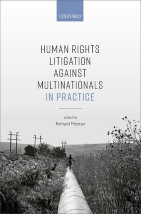 Human Rights Litigation against Multinationals in