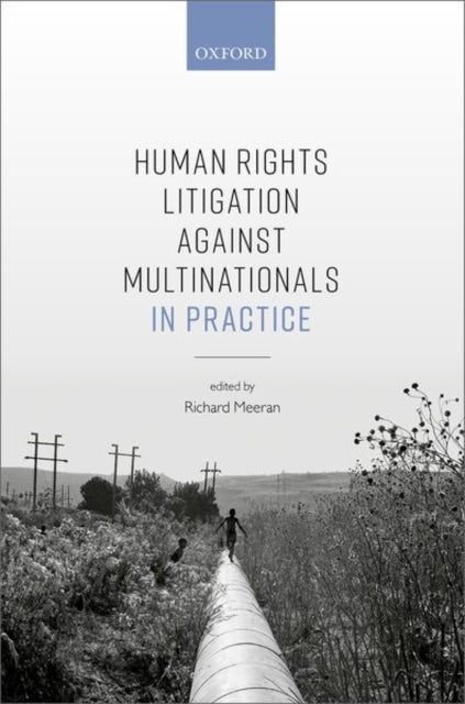 Human Rights Litigation against Multinationals in