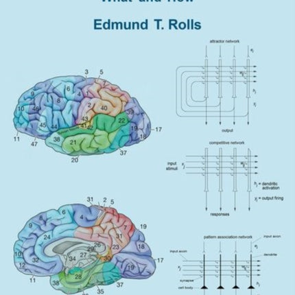 Brain Computations What and How
