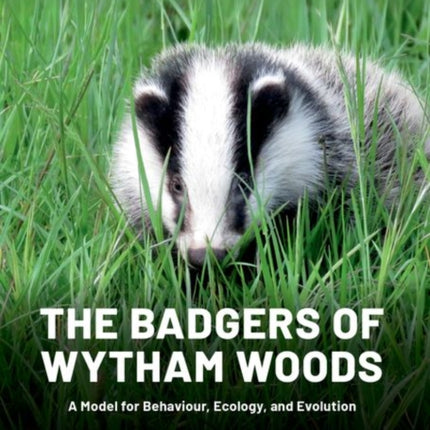 The Badgers of Wytham Woods