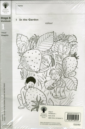 Oxford Reading Tree Level 6 Workbooks Workbook 1