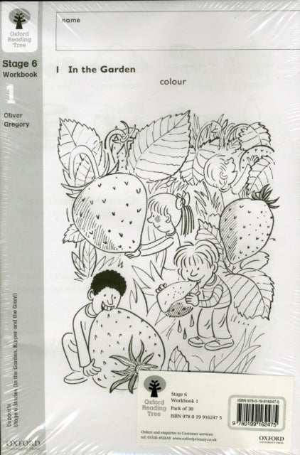 Oxford Reading Tree Level 6 Workbooks Workbook 1