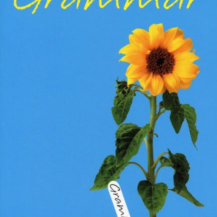 The Teachers Guide to Grammar