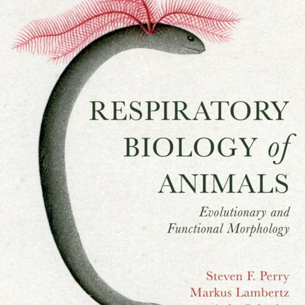 Respiratory Biology of Animals