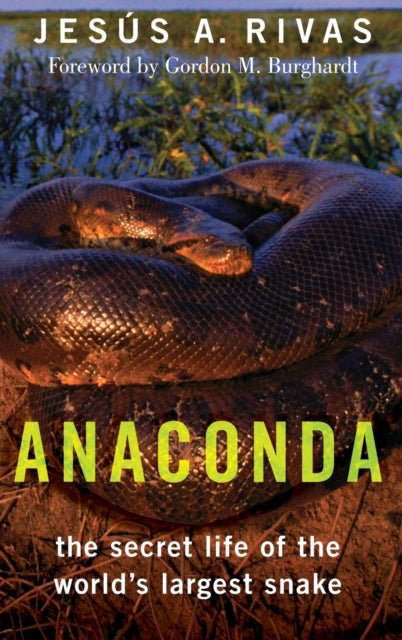 Anaconda: The Secret Life of the World's Largest Snake