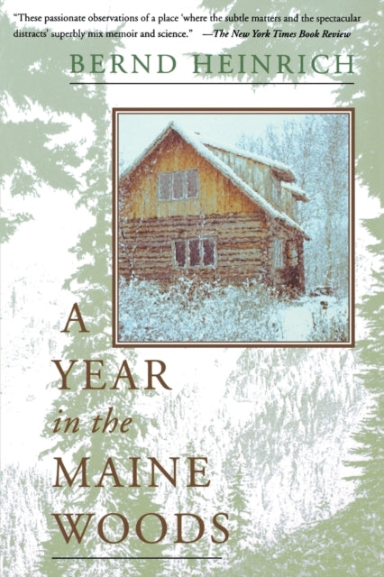 A Year In The Maine Woods