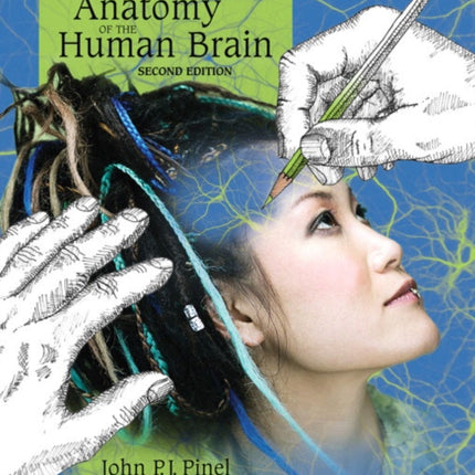 Colorful Introduction to the Anatomy of the Human Brain A