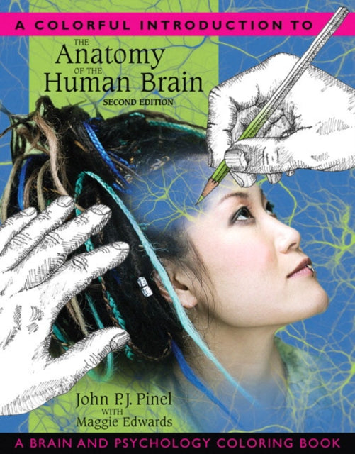 Colorful Introduction to the Anatomy of the Human Brain A