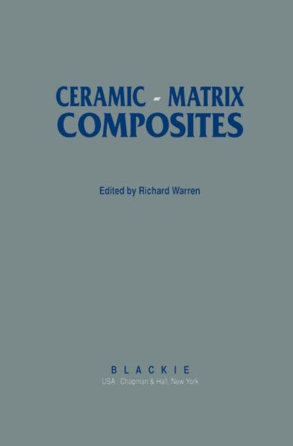 Ceramic Matrix Composites