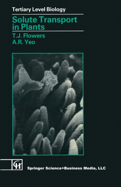 Solute Transport in Plants Tertiary Level Biology