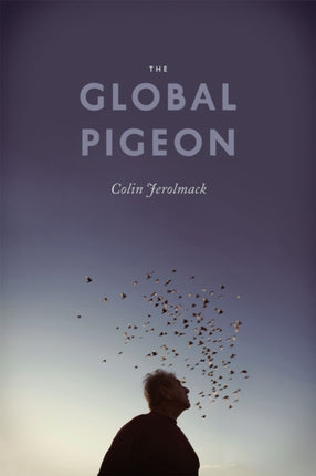 The Global Pigeon Fieldwork Encounters and
