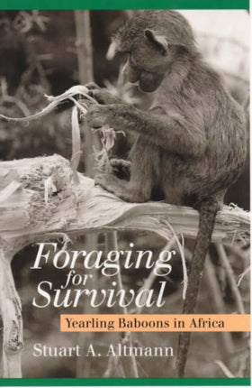 Foraging for Survival: Yearling Baboons in Africa