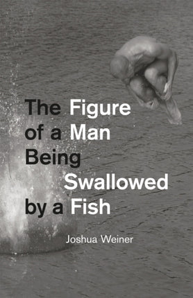 The Figure of a Man Being Swallowed by a Fish