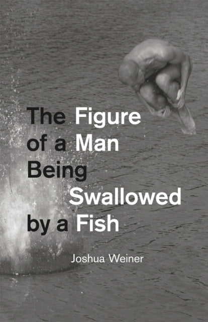 The Figure of a Man Being Swallowed by a Fish