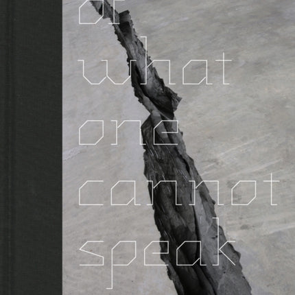 Of What One Cannot Speak: Doris Salcedo's Political Art