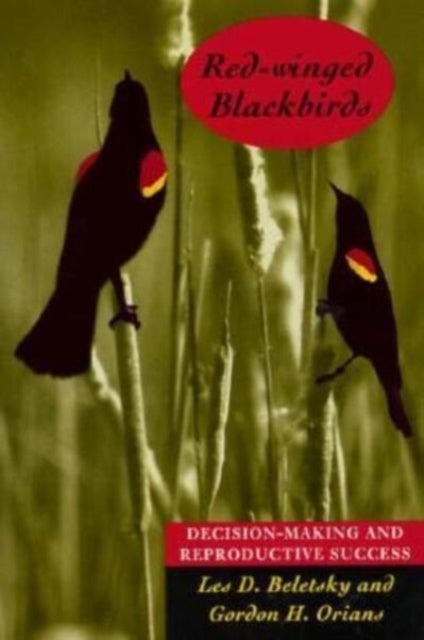 RedWinged Blackbirds  DecisionMaking