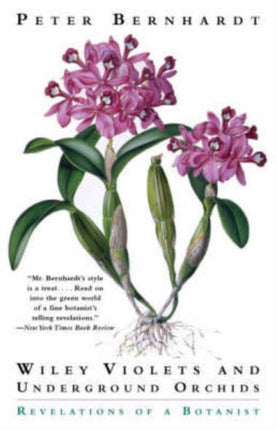 Wily Violets and Underground Orchids  Revelations
