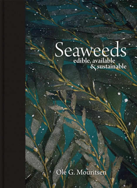 Seaweeds  Edible Available and Sustainable