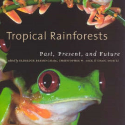 Tropical Rainforests: Past, Present, and Future