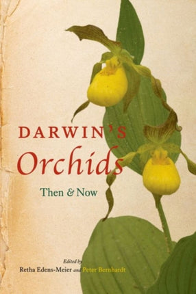 Darwins Orchids