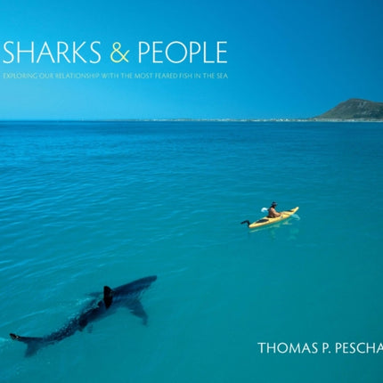 Sharks and People: Exploring Our Relationship with the Most Feared Fish in the Sea