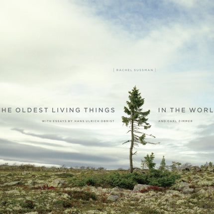 The Oldest Living Things in the World