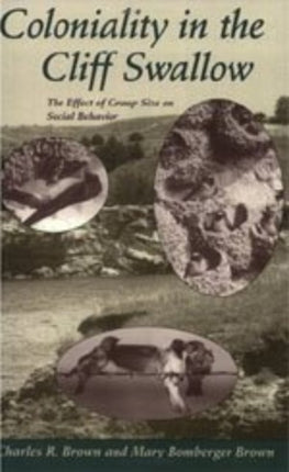 Coloniality in the Cliff Swallow  The Effect of