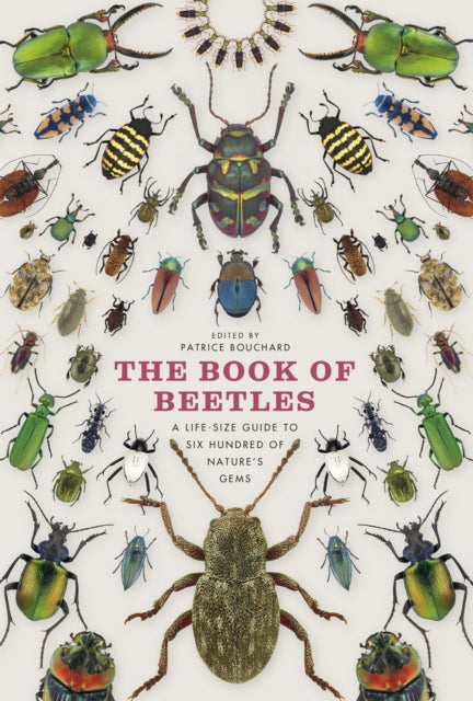 The Book of Beetles: A Life-Size Guide to Six Hundred of Nature's Gems