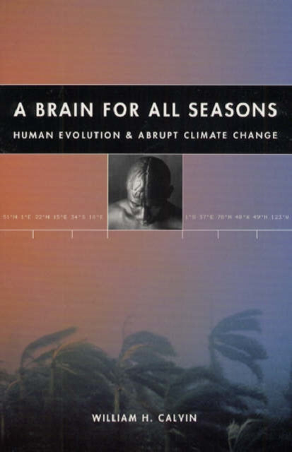A Brain for All Seasons  Human Evolution and