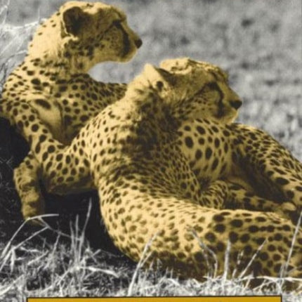 Cheetahs of the Serengeti Plains