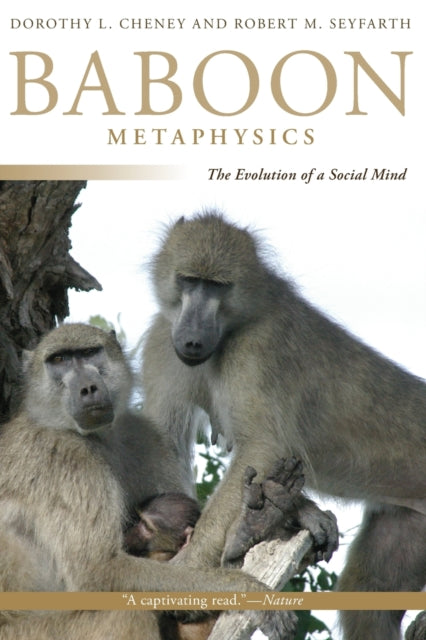 Baboon Metaphysics: The Evolution of a Social Mind