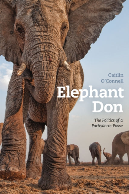 Elephant Don: The Politics of a Pachyderm Posse