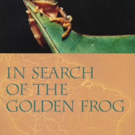 In Search of the Golden Frog