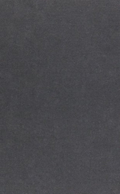 Dialogue on the Infinity of Love The Other Voice