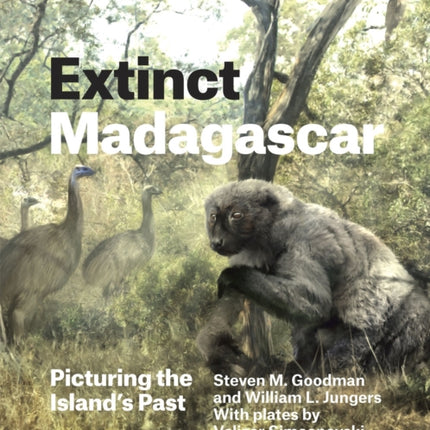 Extinct Madagascar: Picturing the Island's Past