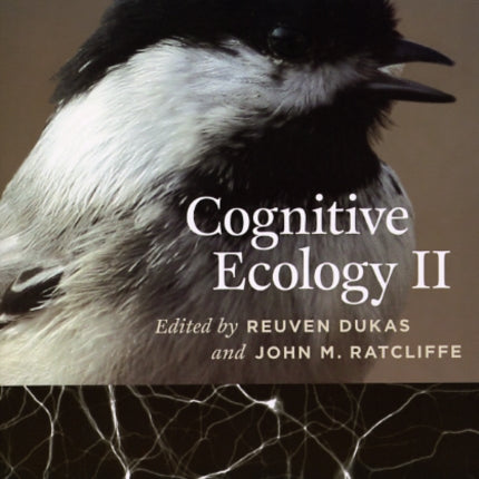 Cognitive Ecology II